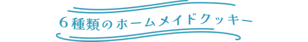 6種類のホームメイドクッキー